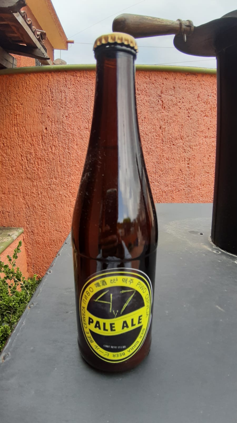 Cerveza Pale Ale 4y7